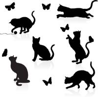 Котята и бабочки