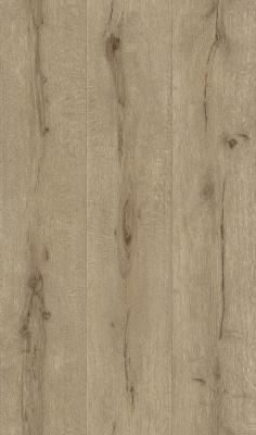 Фото Rasch Black Forest 2016 514421