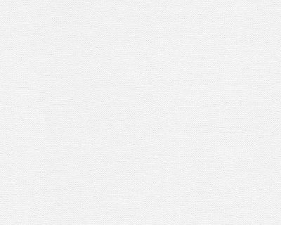 A.S.Creation Meistervlies Protect 2 245113