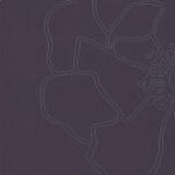 Фото BN International Q2 43163