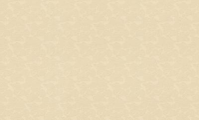 Фото Rasch Maximum XI 926217