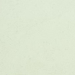 Фото BN International Authentique 45738