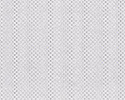 Фото A.S.Creation Maistervlies 2020 93465-1