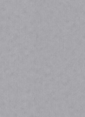 Фото Erismann BasiXs 6488-10