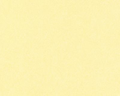 Фото A.S.Creation Meistervlies 3 300140