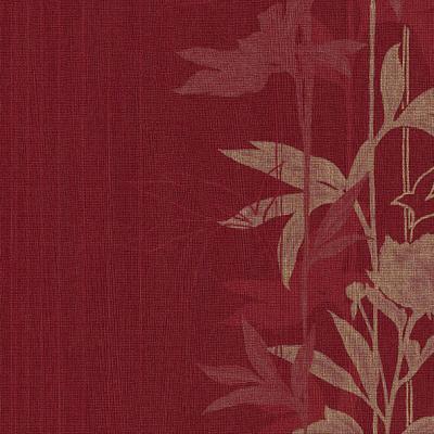 Фото Rasch Intuicion 2011 733655