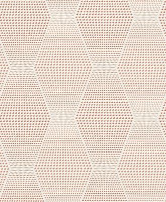 Фото Rasch Chorus Line 2014 470086