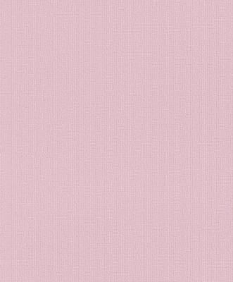 Фото Rasch Fresh Up 2015 496451