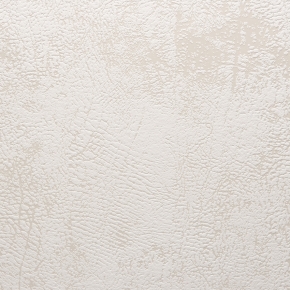 Фото BN International Neo 43840