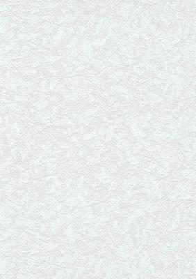 Erismann RollOver Fashion 3980-01