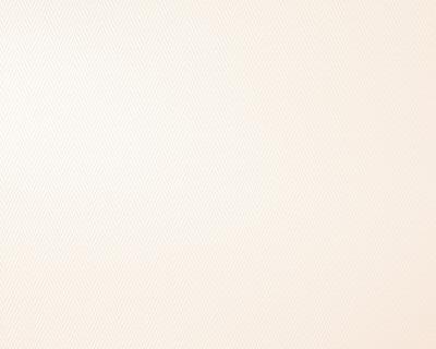 Фото A.S.Creation White & Colours 504227