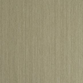 Фото BN International Organza 45214