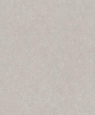 Фото Rasch Modern Surfaces 2 512632