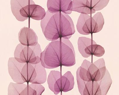 Фото A.S.Creation X-Ray 34245-3