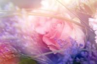 Красивый букет