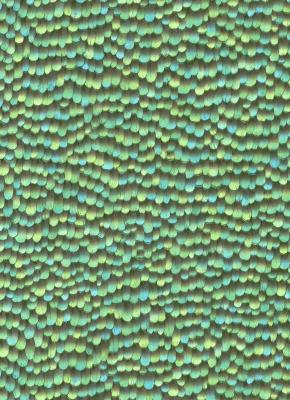 Фото Erismann Paradisio 2 10129-18