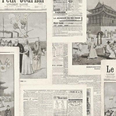 Фото Rasch Crispy Paper 526516