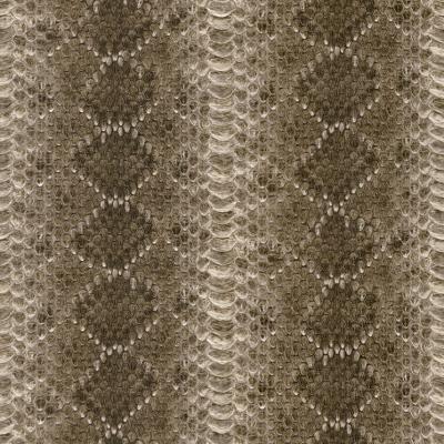 Фото Rasch African Queen 2 473810