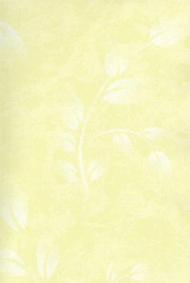 Фото Sandudd Tupla Rolleri 20009