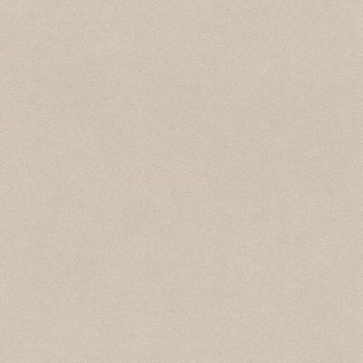 Фото Rasch Passepartout 607246