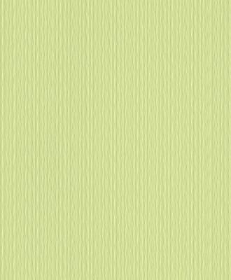 Фото Rasch Chorus Line 2014 469417