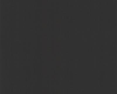 Фото A.S.Creation Best of Vlies 2012 206589