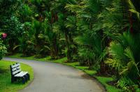 Гавайский вулканический парк