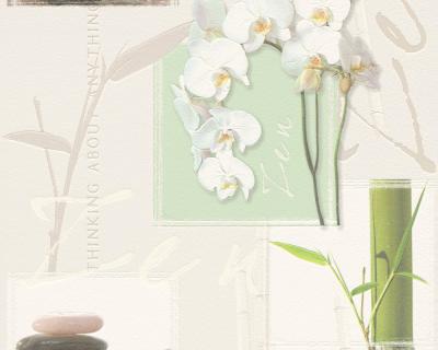 Фото A.S.Creation Simply Decor 8771-16