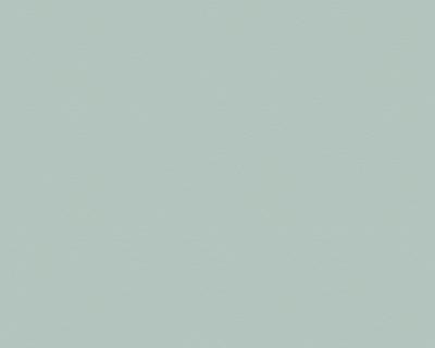 Фото A.S.Creation Memory 3 3096-31