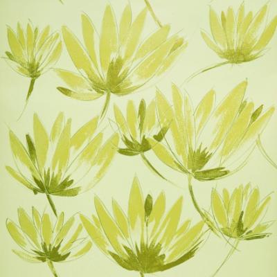 Фото Sandudd Jukka Rintala 4923-2