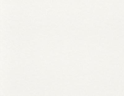 Rasch Wallton 2021 116601 (плотность 150 гр)