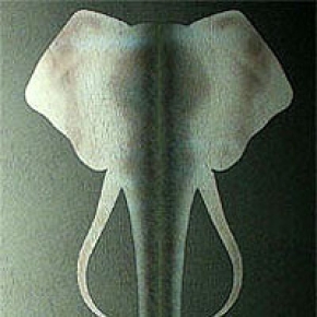 Фото Marburg Colani Tsavo 72950