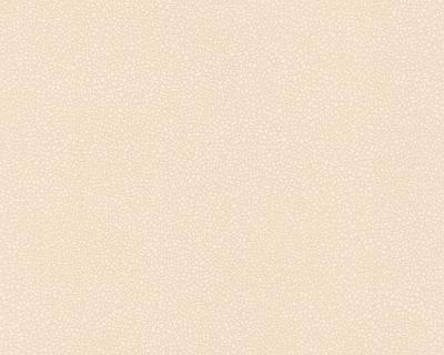 Фото A.S.Creation Esprit 4 111722