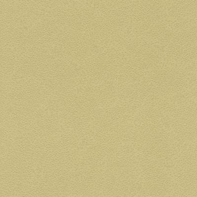 Фото Rasch Miracle 2014 421965