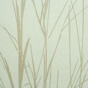 Фото BN International Authentique 45764