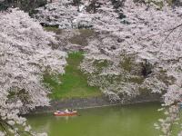 Лодка на реке