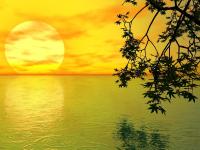 Желтое небо над озером