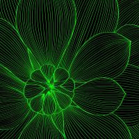 Гравюра цветка