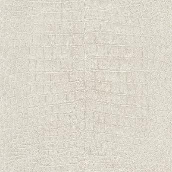 Фото Rasch African Queen 2 474152