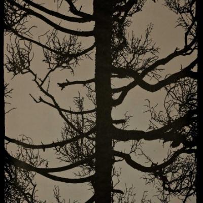 Фото Sandud Vallila 4985-4