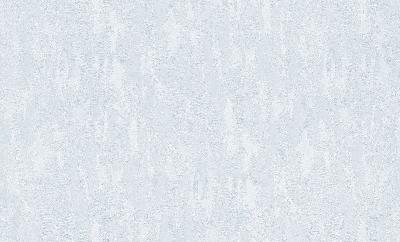 Фото Rasch Maximum XI 927603