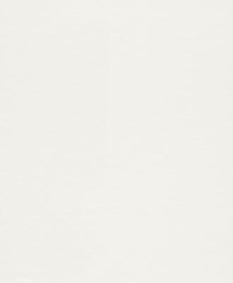 Фото Rasch Wallton 2021 177602 (плотность 120 гр)