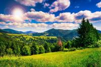 Солнечный день