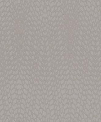 Фото Rasch Funky Flair 2015 721829