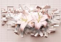 Сила нежности