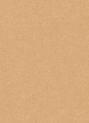 Фото Erismann City Glam 5958-27