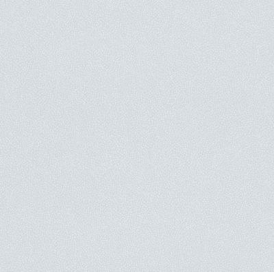 Rasch Bambino 2018 246124