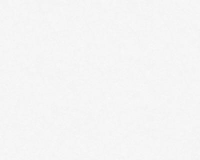 Фото A.S.Creation Maistervlies 2020 95313-1