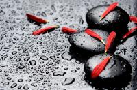 Лепестки на камнях