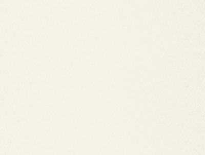 Фото A.S.Creation Serenade 914828